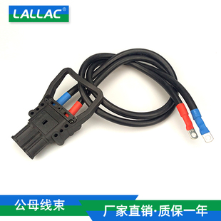 160A 80A REMA 320A杭叉充电插头公头母头带线连接器 线束定制