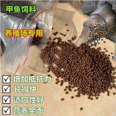 Turtle feed breed Dedicated Turtles feed Turtle Turtle feed Little Turtle Foodin the Pet/Pet food and supplies , Aqua World , Turtle Watch/Turtle feed  category - from Buy2taobao.com to provide professional Taobao agent buy service