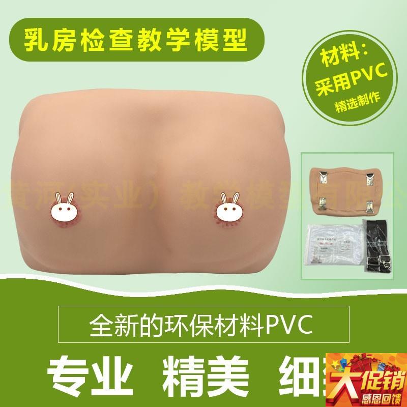 护理模型乳房检查模型人体模y型乳房自检模型女性乳房自检模型