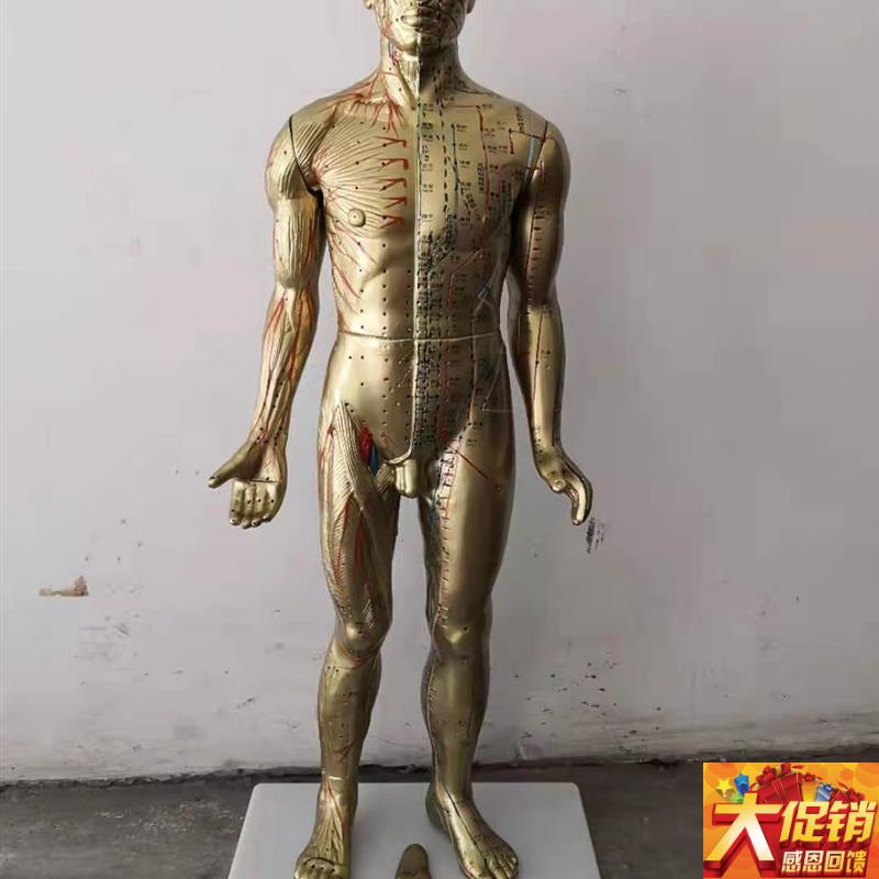85CM人体针p灸模型 中医经络穴位模