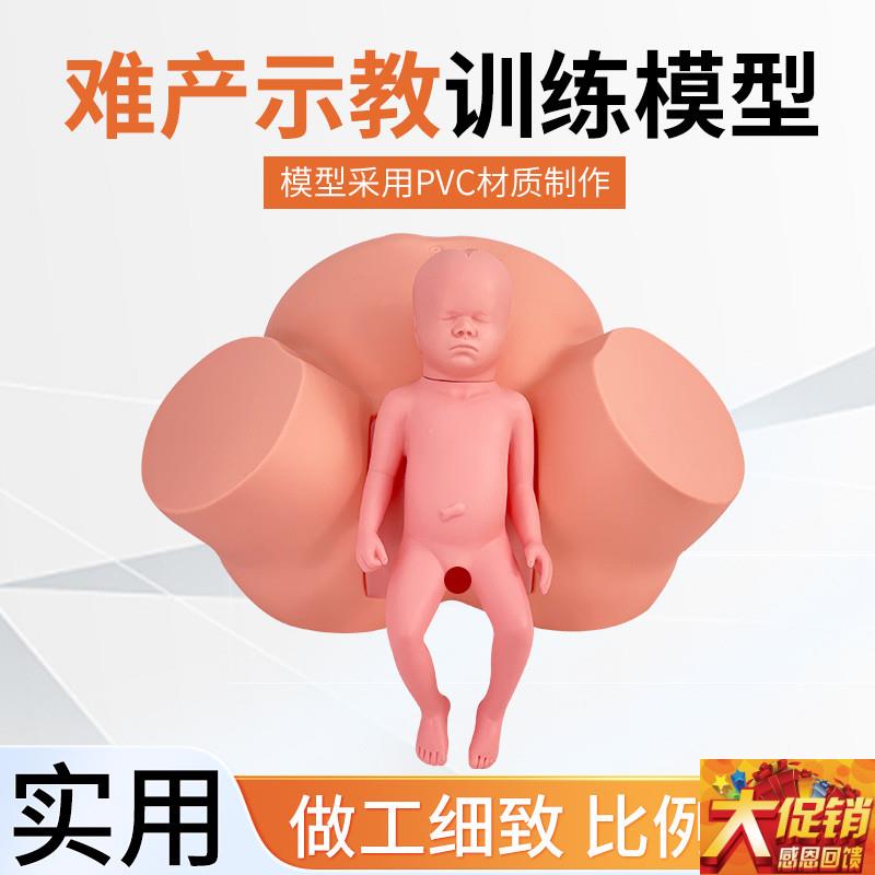 高级助产示教模型 分娩演示v 妇科检查模型 生产分娩演示肩产难产