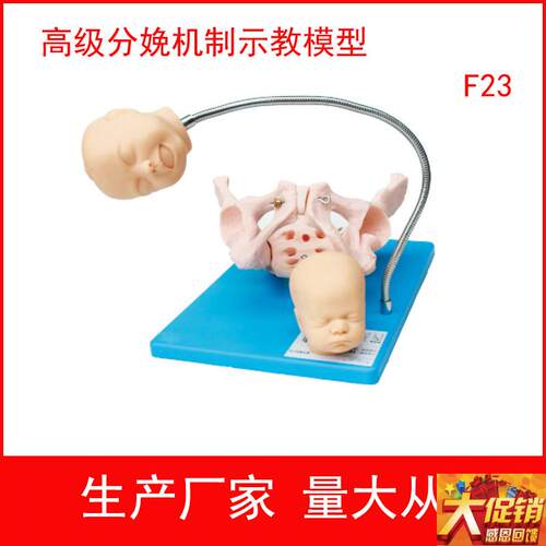 高级分娩机制示教模型可观察到分娩时胎儿与骨盆W妇幼训练模型