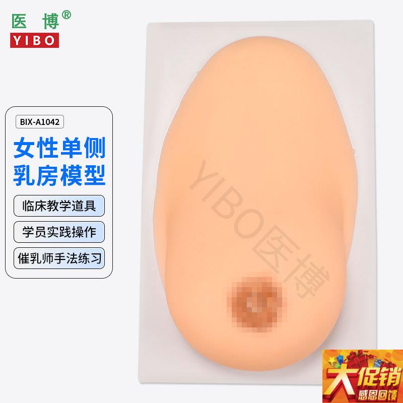 医博BIX-1042成人女性单侧硅胶乳房模型 仿K真触感 催乳手法训练