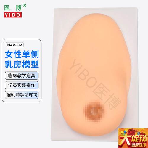 医博BIX-1042成人女性单侧硅胶乳房模型 仿K真触感 催乳手法训练