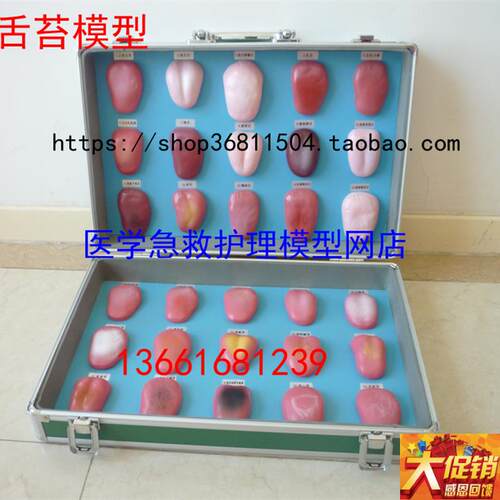舌苔模型 舌苔病l理模型 舌像模型30件/套 舌苔症状对比模型