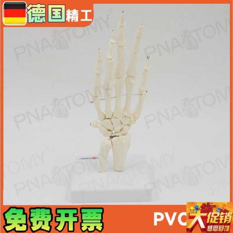 人体手关节模型j手骨尺骨桡骨手骨骼手心手掌部骨骼结构手指头活