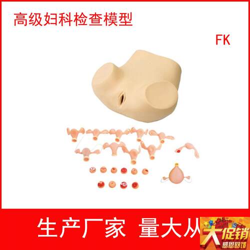 高级妇科综合检查训练模型 腹腔镜检查及妇婴训练模型.子宫触诊视