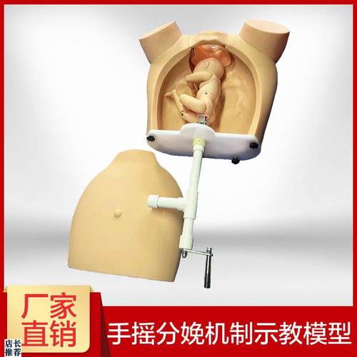 高级手摇分娩机制示教模型医x学用练习模具助产训练模型分娩教学