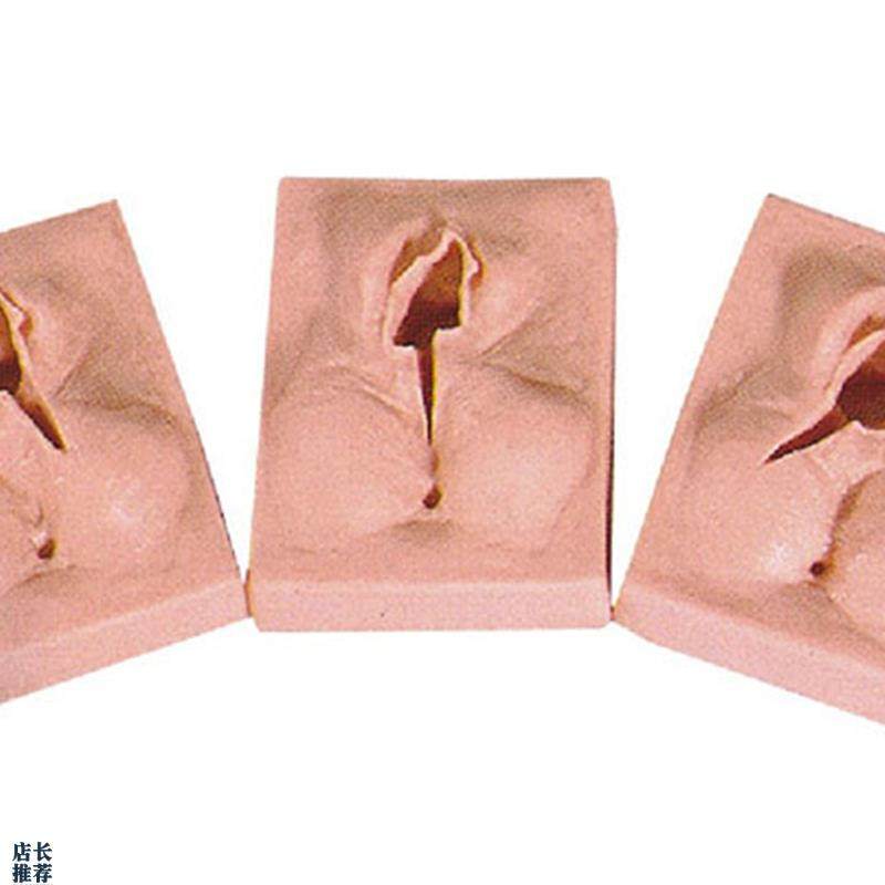 外阴缝合练习模型会阴缝合练习模块缝合W技能训练模型