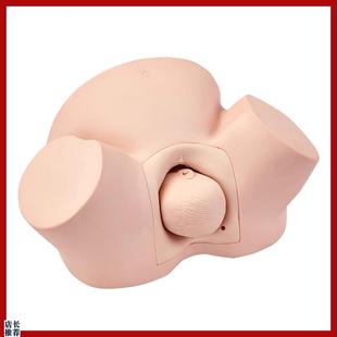 高级助产训练模型产科教学模型M妇幼保健院示教模具