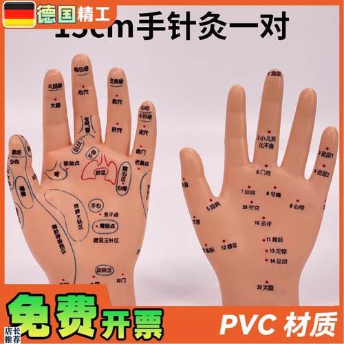 超清晰小儿手部反射区模型中医推C拿针灸教学穴位模型儿童仿真手