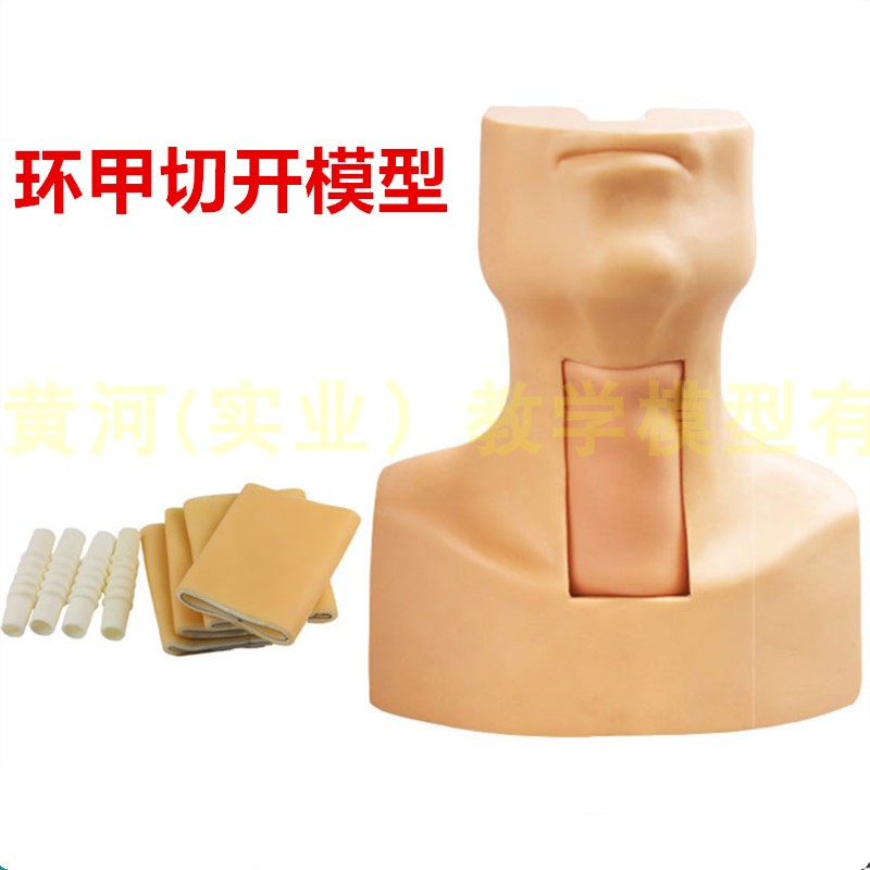 环状软骨气管g切开术训练模型 高级环甲膜穿刺及气管切开插管模型