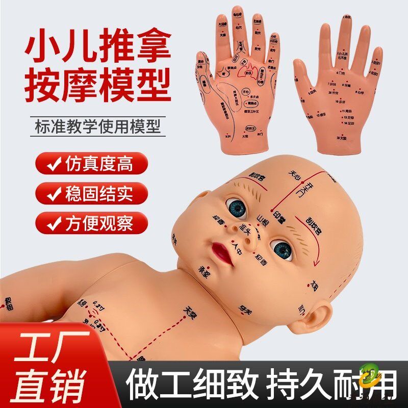 小儿推拿模型练习娃娃全身穴位模型仿真婴儿宝Q宝按摩月嫂培训教