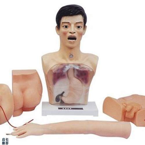 新型基础护理模型