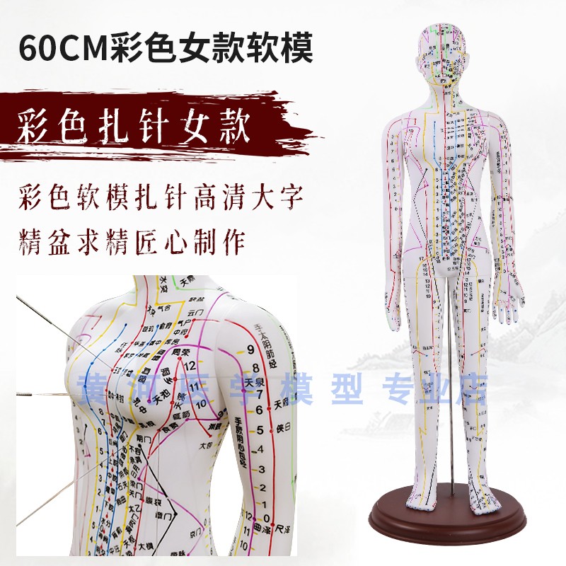 中医学人体针灸模型60CM教学经络穴位示教练习训练W模拟胶皮假人