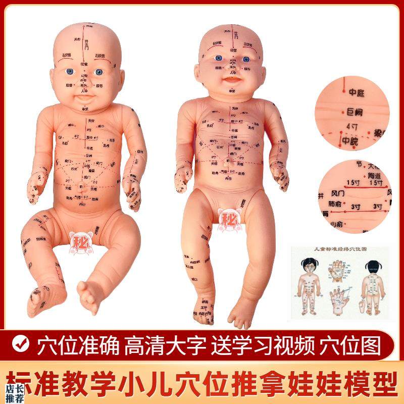 婴儿人体模型培训宝宝保健针灸中医通F用穴位小儿推拿穴位娃娃模