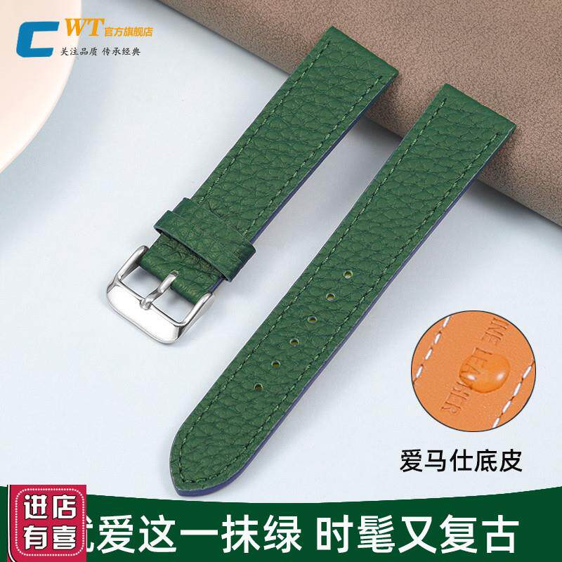 绿色手表带真皮男女适配劳力士精工飞亚达dwO阿玛尼小绿表ob天梭