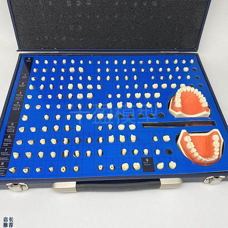 口腔齿科备牙模型牙体制备窝洞义齿加工K模型技工牙体预备展示模