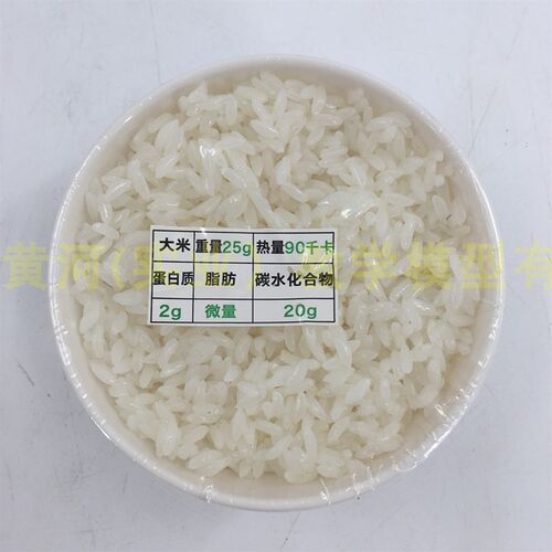 仿真食物模型大碗p米饭儿童早教过家家玩具橱窗摆设道具