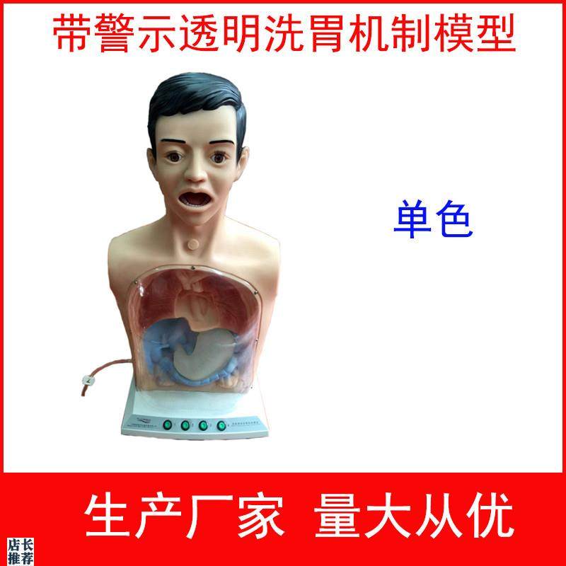 带警示透明洗胃机制模型高级B透明洗胃机制模型洗胃练习模型