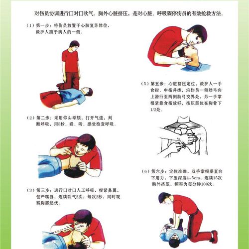 挂图
