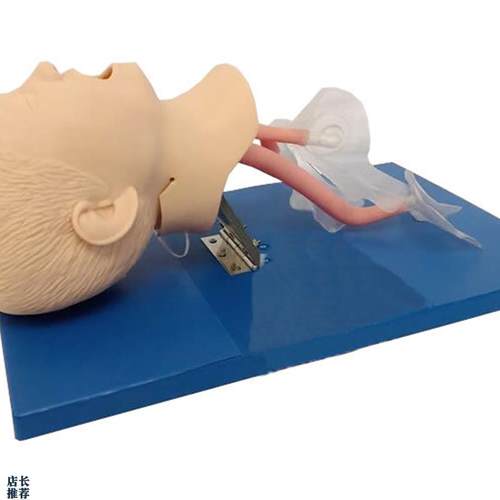 儿童气管插管训练模型小儿气管插管训练模型儿童气Z道管理模型