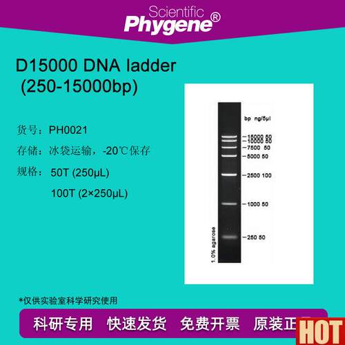 NA laddIer (250-15000bp) 100T DNA Marker  [PH0021 PHYGENE]