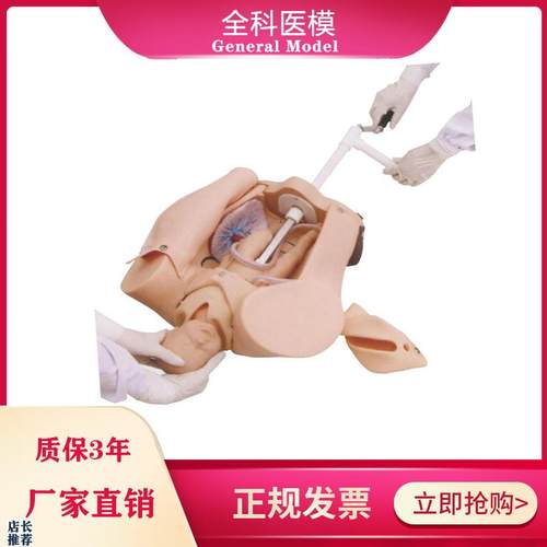高级手摇分娩机制示教模型女性胎位I难产助产综合训练模型机