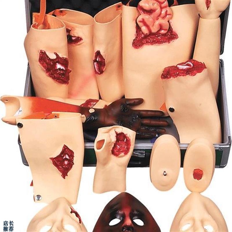 高级创伤a评估模块GD/J110-16/四肢模块/四肢创伤模型