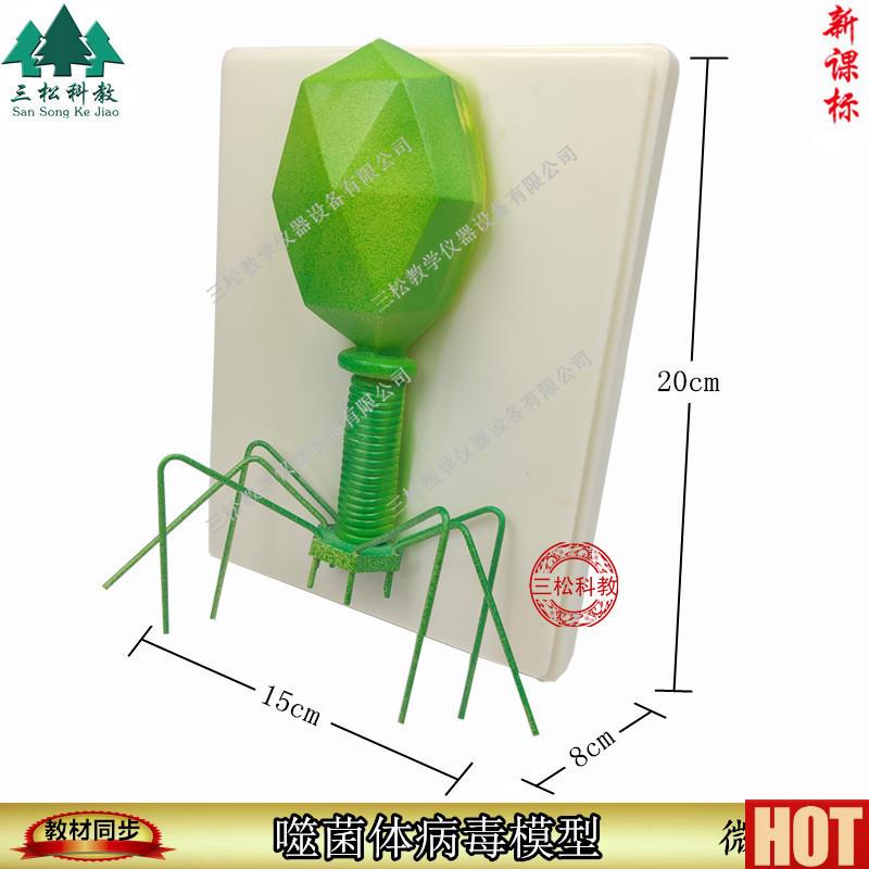 菌体病毒模型 病毒结X构模型 生物教学模型 教学模型