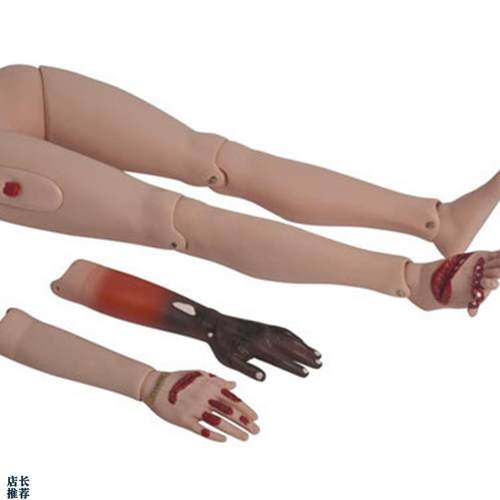高级创伤护理训练四肢模型模块上E肢下肢包扎伤口处理练习模具