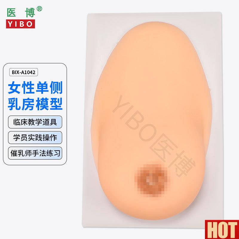 博BIX-1042成人女性单侧硅胶乳房模型 仿真触感S 催乳手法训练教