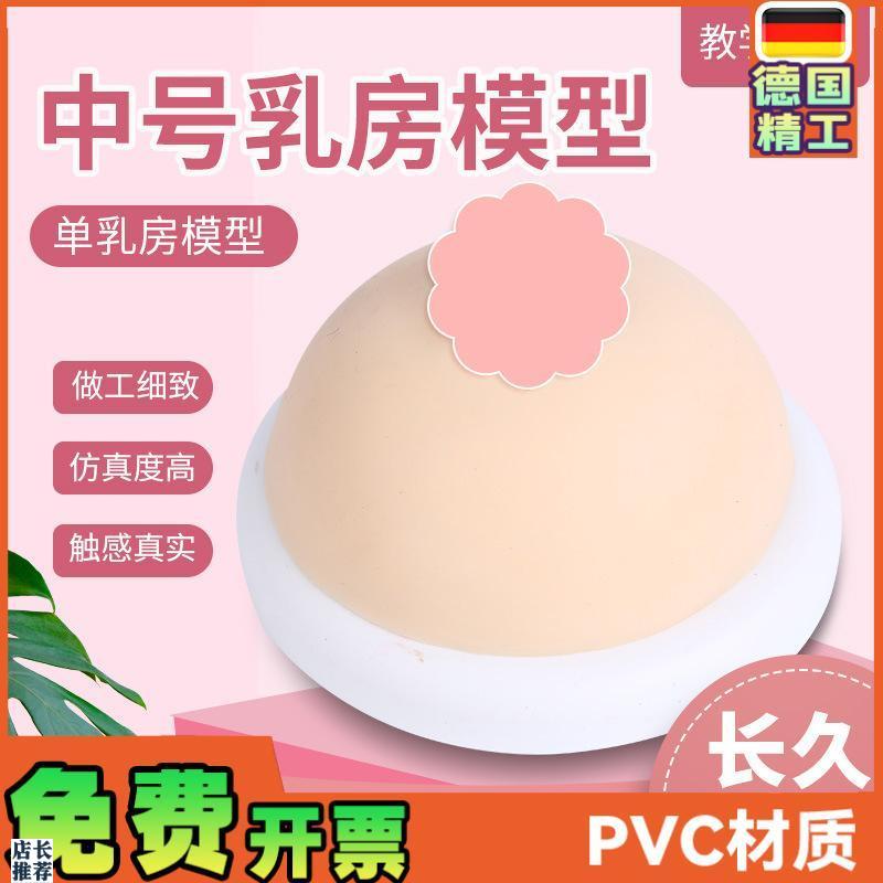 家政月嫂人体仿真女性乳房催乳师培训道具哺乳硅V胶乳房教具模型