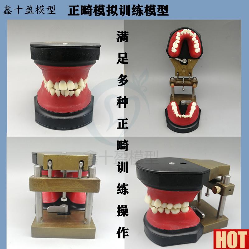畸训练模型M8017牙齿矫正练习Typodont W品牌可变蜡堤弓丝弯制教