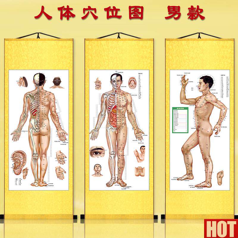 体穴位大挂图 针灸经络图 W丝绸卷轴挂画 医院诊所装饰画