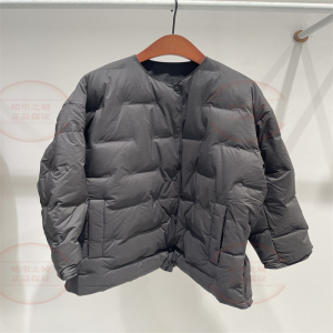 现货 LESS女装2024冬季 专柜正品宽松短款鹅绒服 2O0C11400-3995