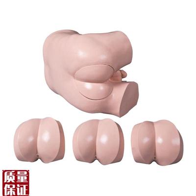 厂家直销高级直肠指诊检查模型前/列腺触诊模型U临床综合技能训
