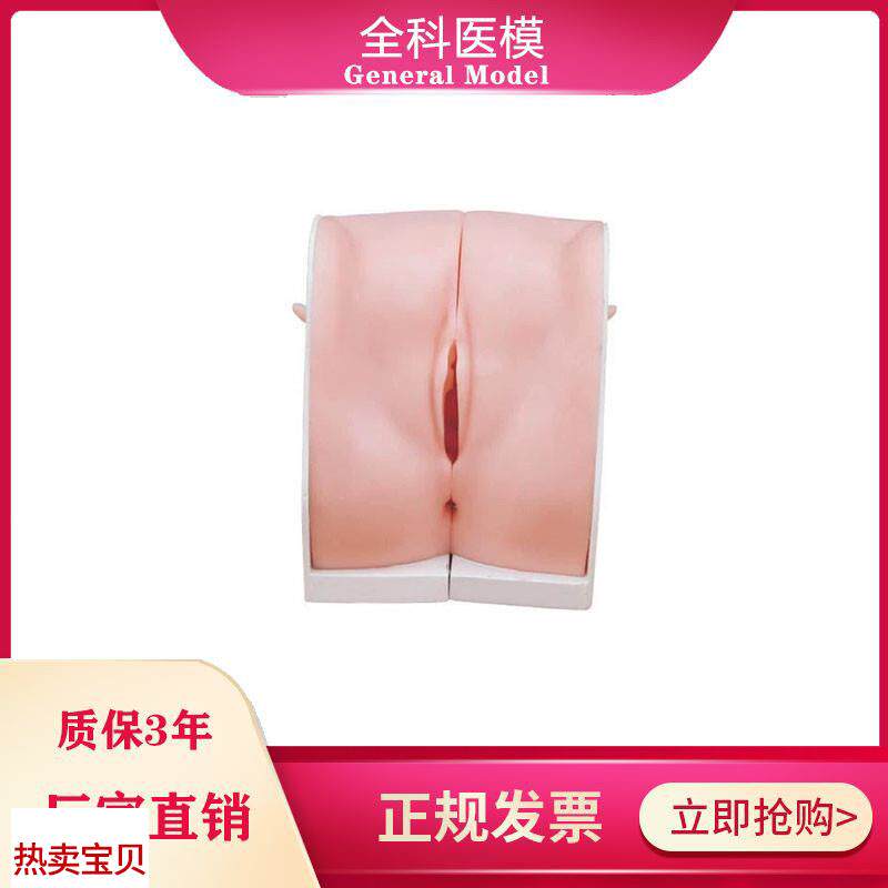 避孕指导模型女性宫内节育器上环F取环训练模型妇科教学用模型
