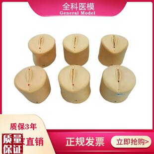 产前宫颈口变化模型宫颈扩张教具分娩产道医P学用妇科教学模型模