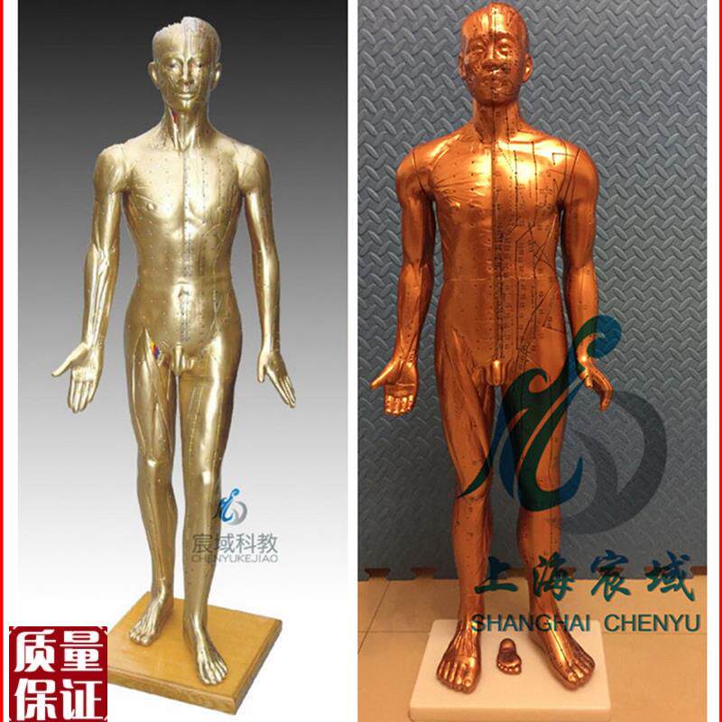 超清晰经络通针n灸铜人人体穴位模型中医针灸人
