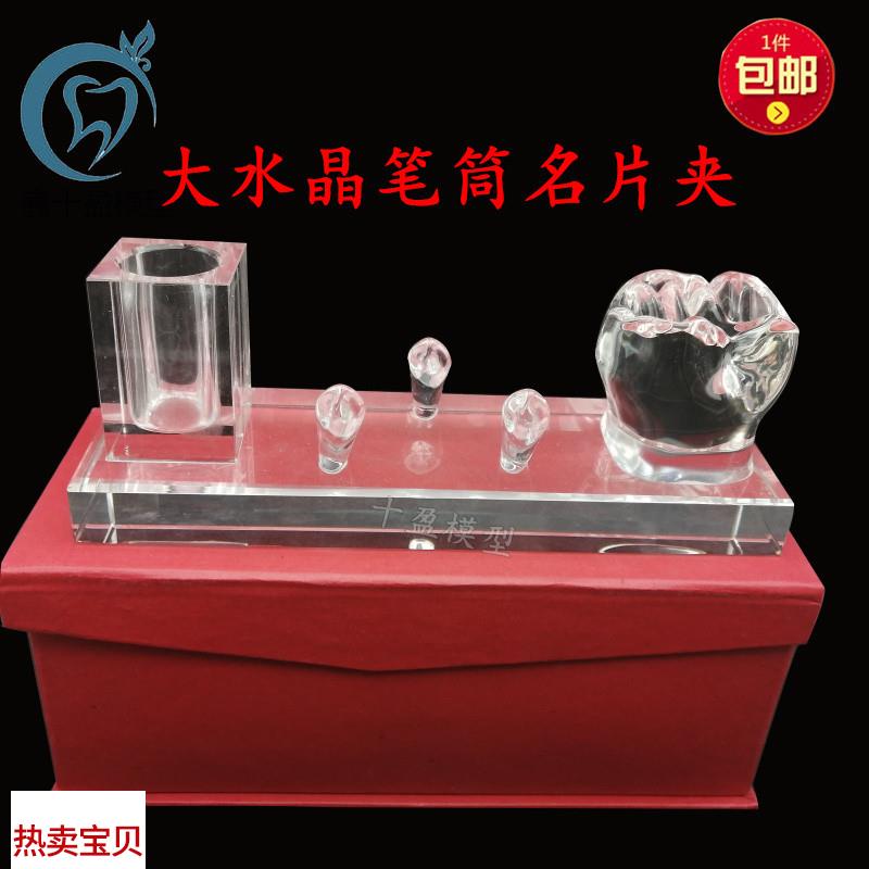 牙科摆件办公室摆件高端水晶名片夹笔筒放置O架牙齿形状摆件包邮
