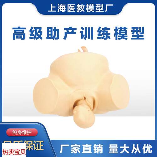 助产训练模型人体模p型分娩助产练习模型胎儿模型妇产科训练