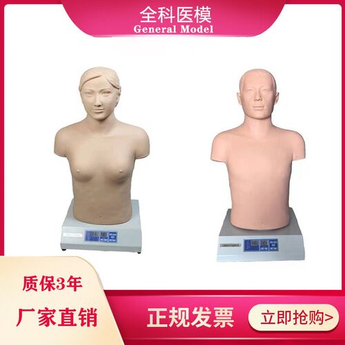 心肺触诊听诊电脑o模拟器单机版成人体格检查模型假人模具
