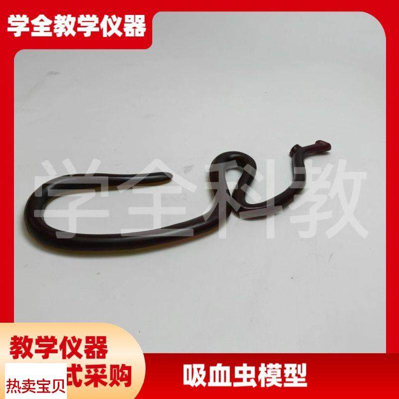 吸血虫模型雌雄合抱血吸u虫模型生物解剖模型实验解剖模型可拆装
