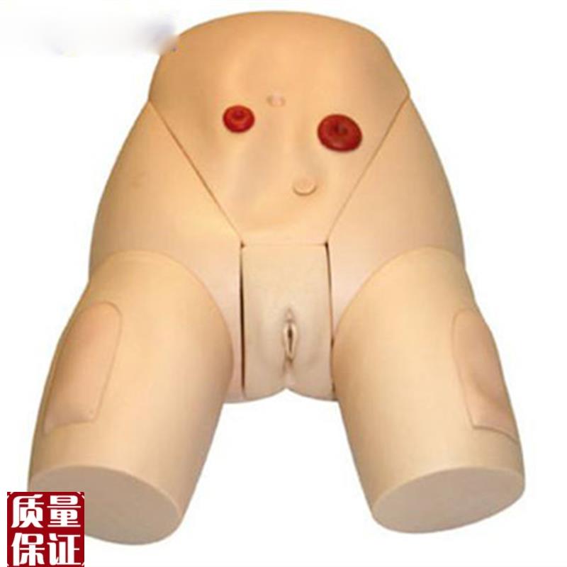 高级医学导尿器官实o习练习模型女性生殖器导尿培训模型训练模
