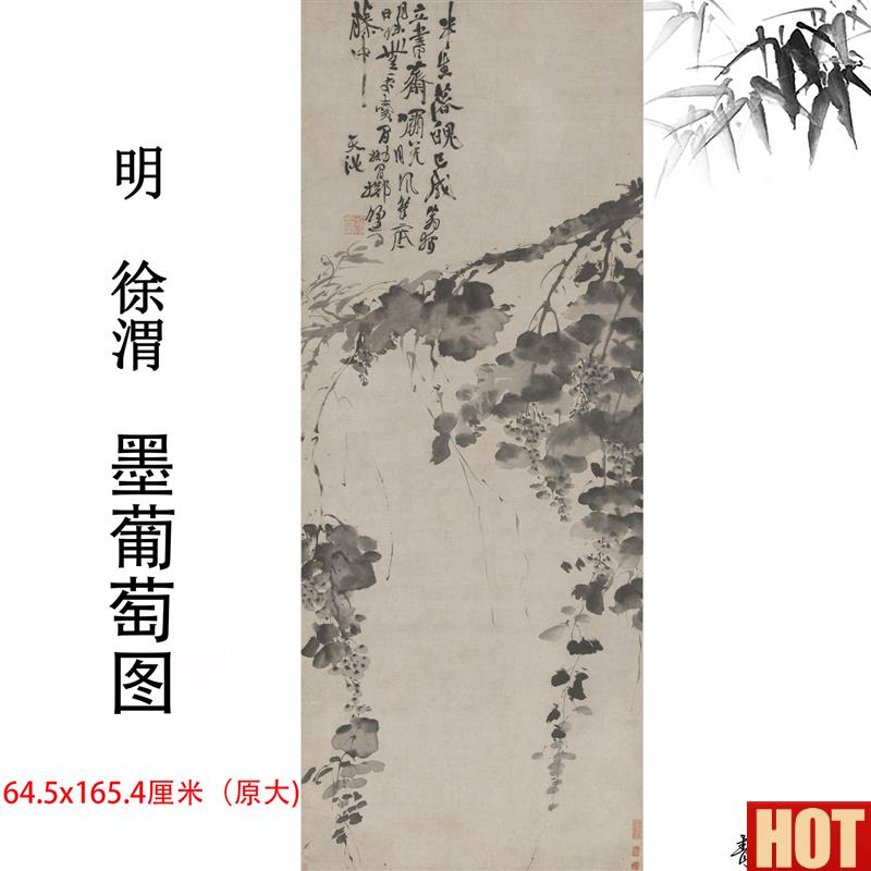 :1明代徐渭 水墨葡萄图宣纸水墨d水果国画装饰画高清喷绘复制临摹