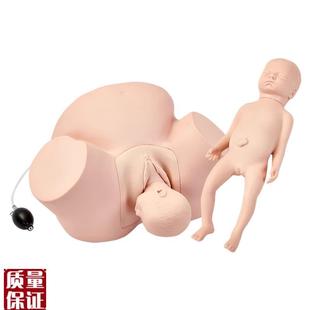 高级难产示教模型分娩难产示教模型.分娩演示模