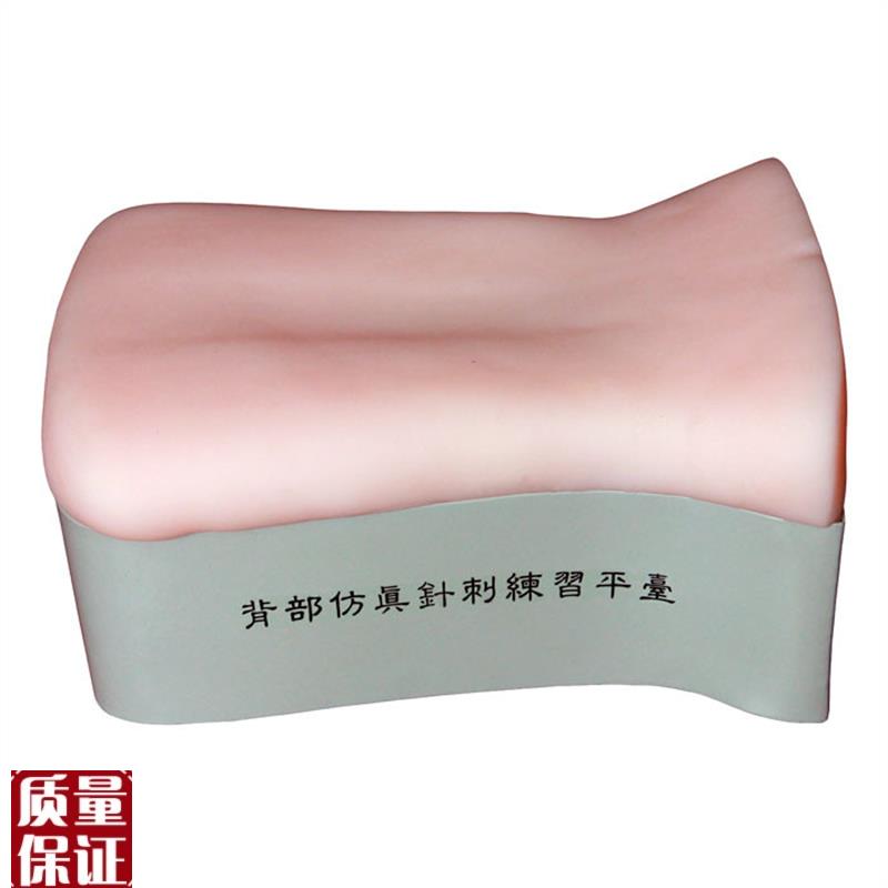 背部仿真针刺练习平台中医针刺F背部训练模型针灸针刺练