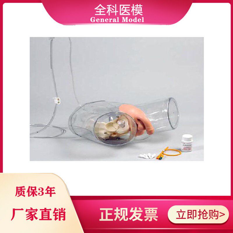 透明男女性导尿模型插管训练z教学导尿人体模型护理操作模拟人