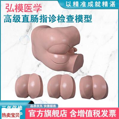 弘模HOM/LhV39高级直肠指诊检查模型前/列腺触诊模型肛门检查模型